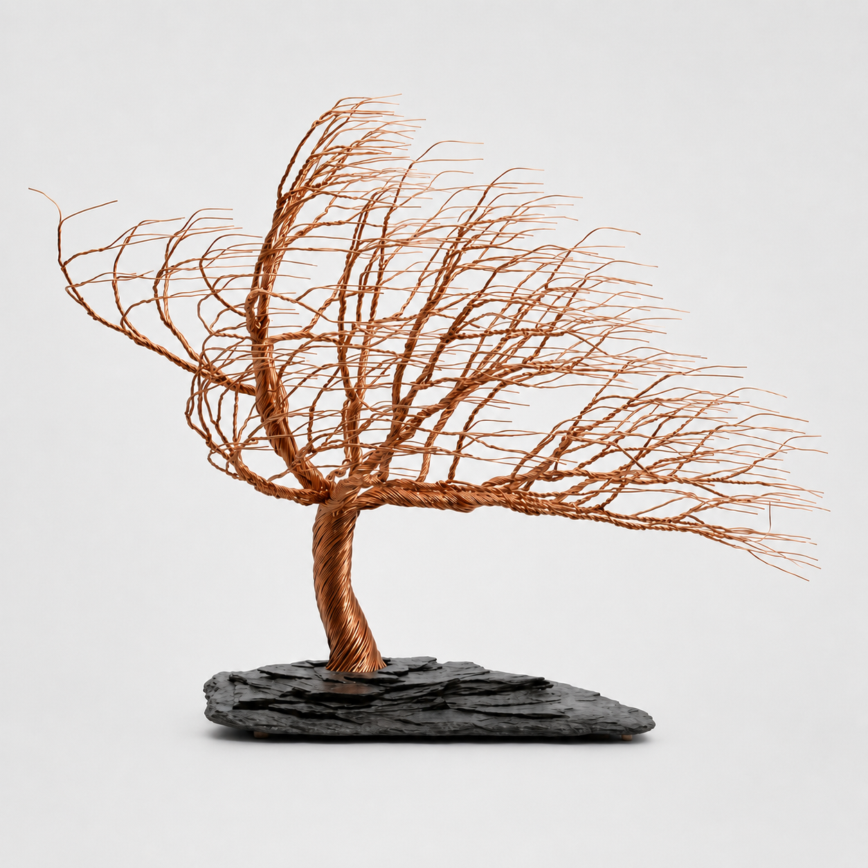 Copper Windblown Tree