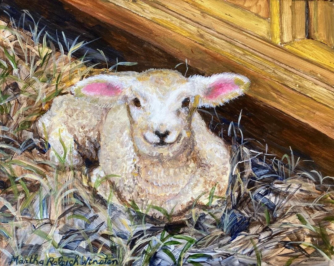 Crazy Legs Farm Lamb