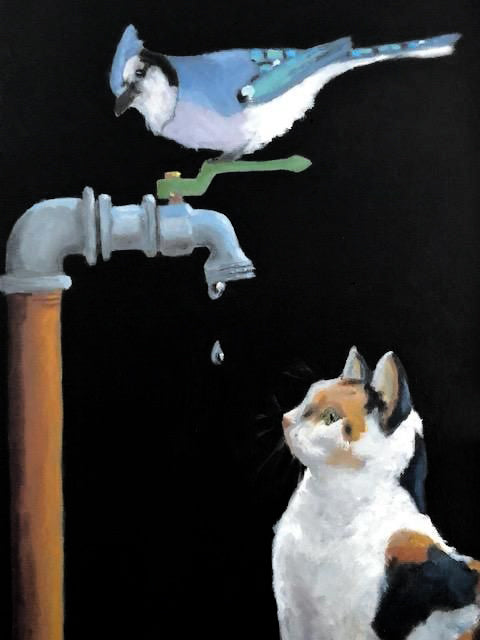 Curiosity