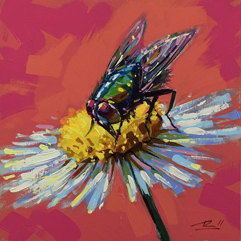 Daisy Fly