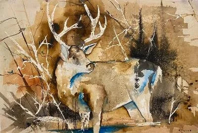 Deer