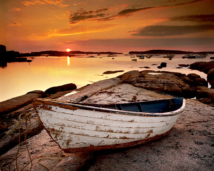 Dory at Sunrise