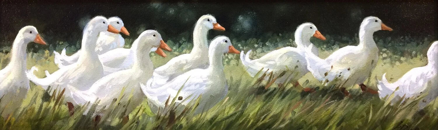 Ducks in a Row