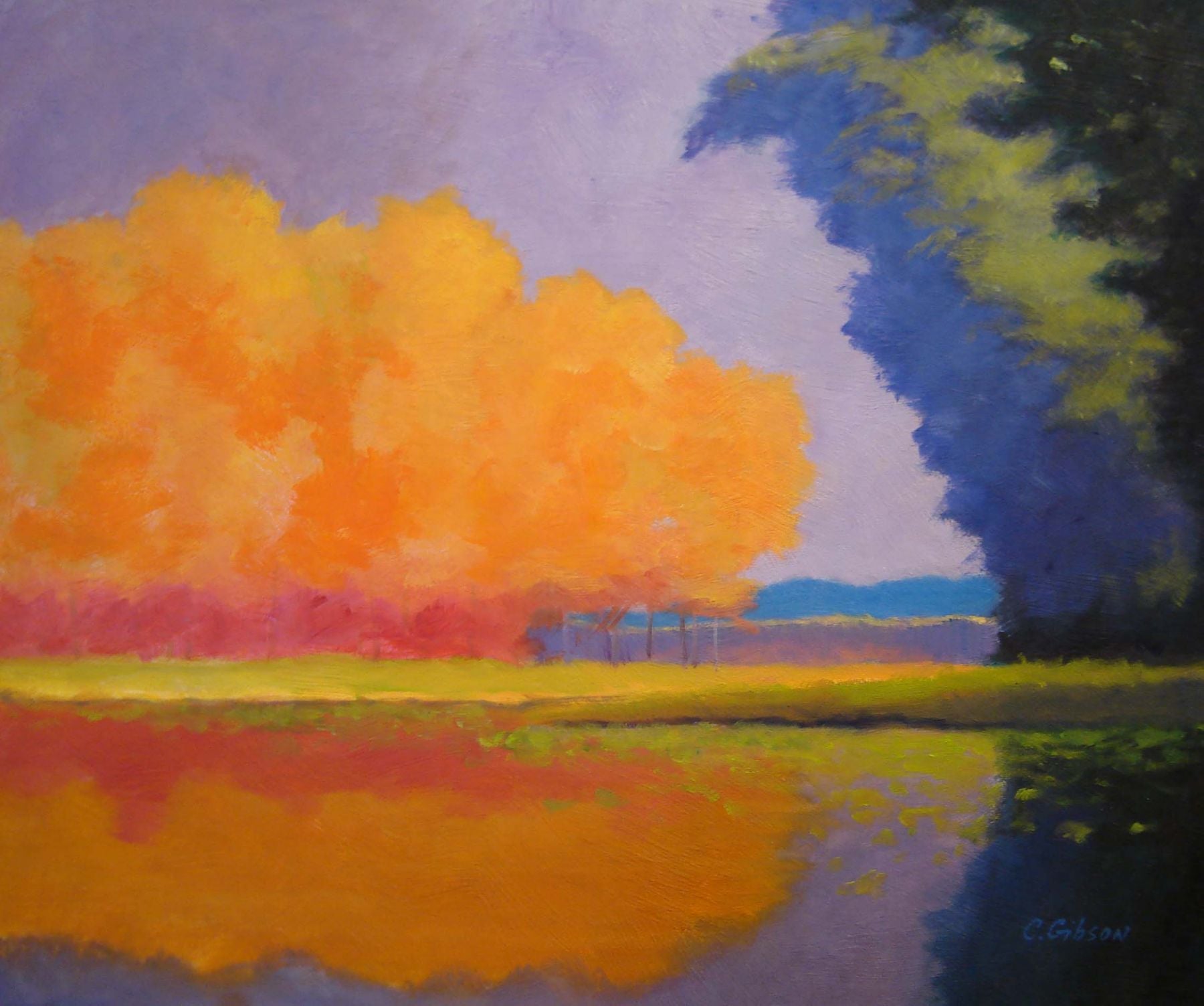 Pond Reflections