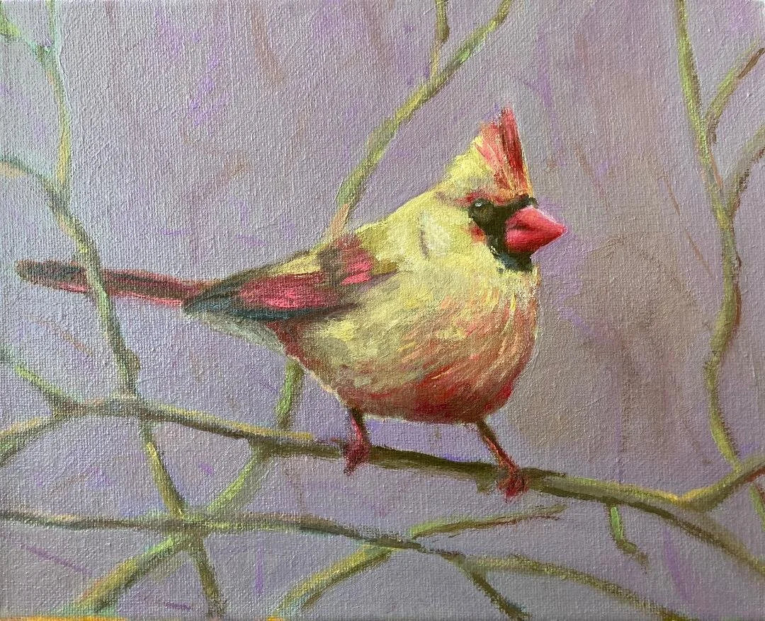 Female Cardinal