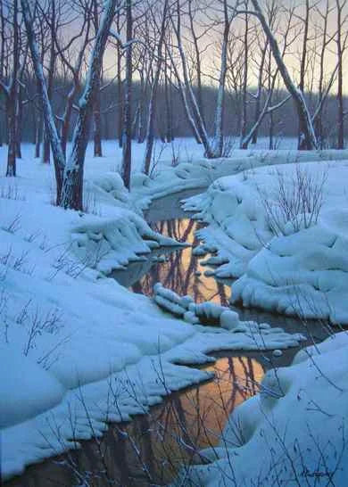 Forest Splendor