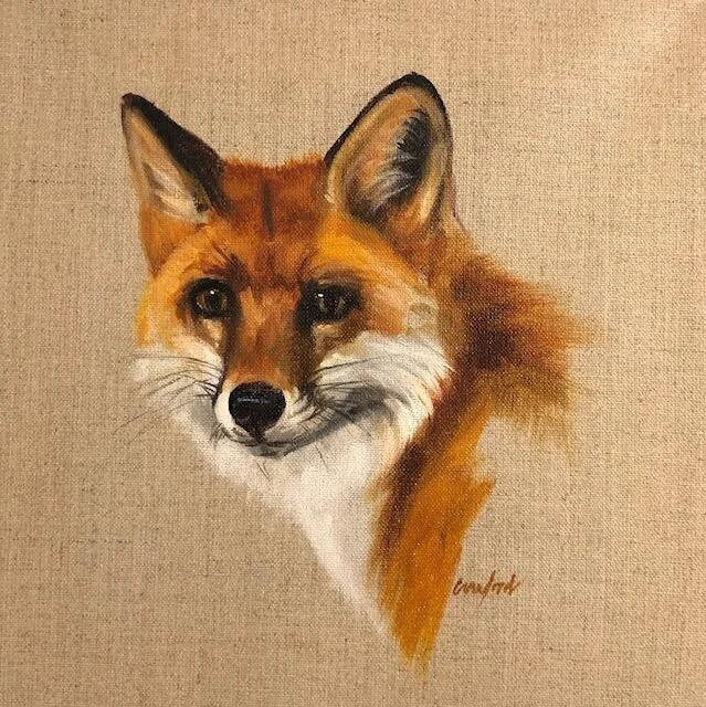Fox Study