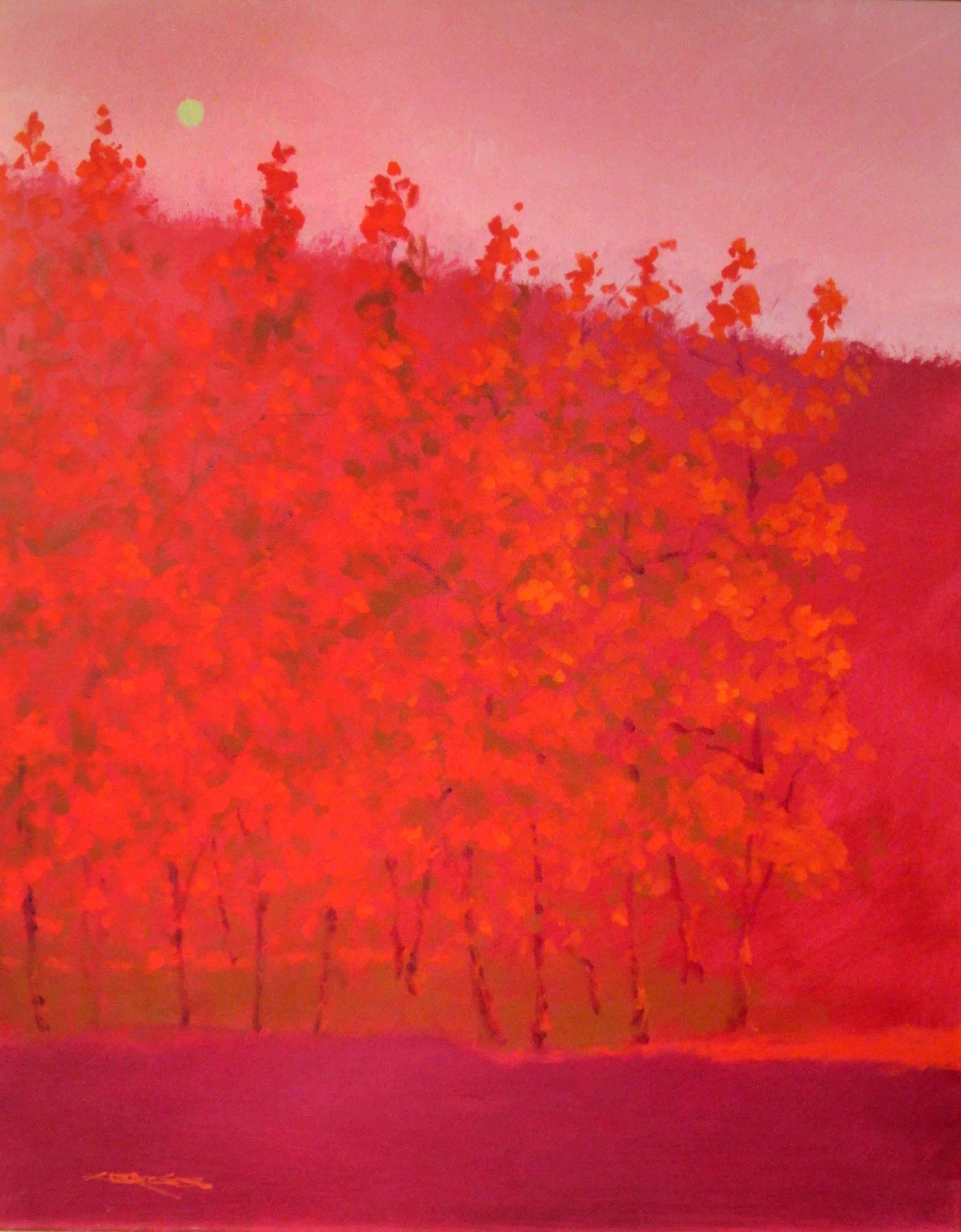 Fuchsia Trees