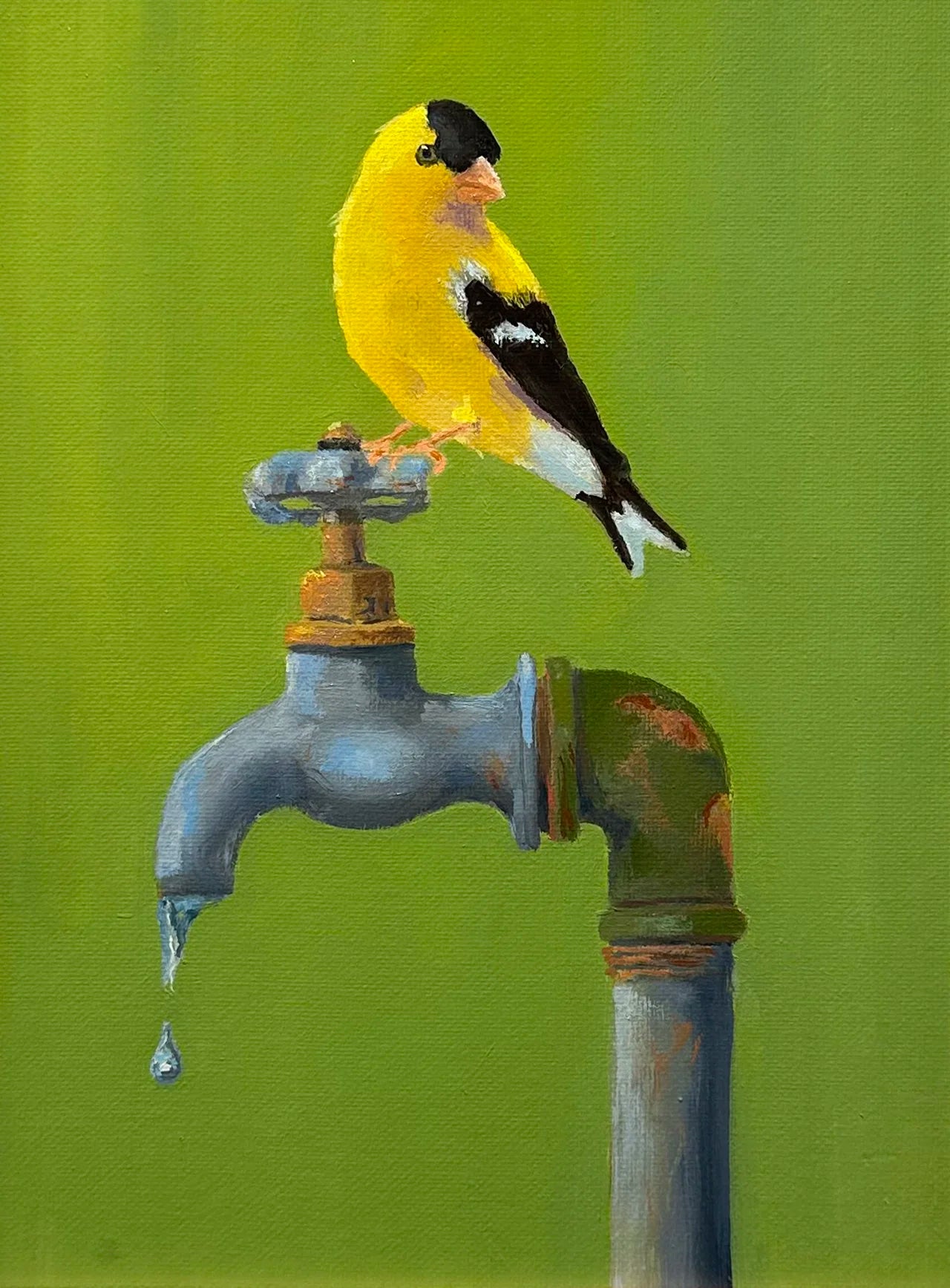Gold Finch