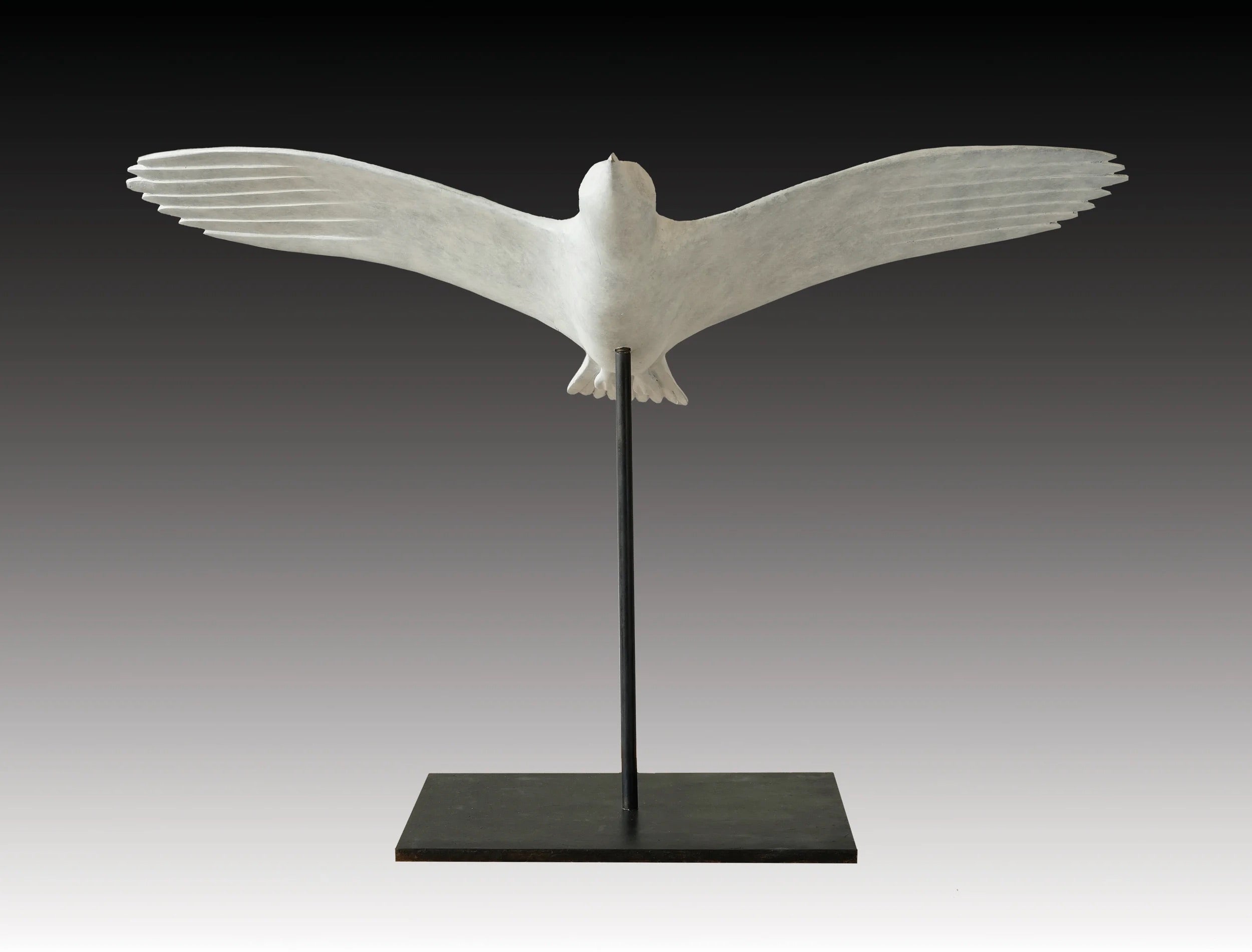 Gull Climbing
