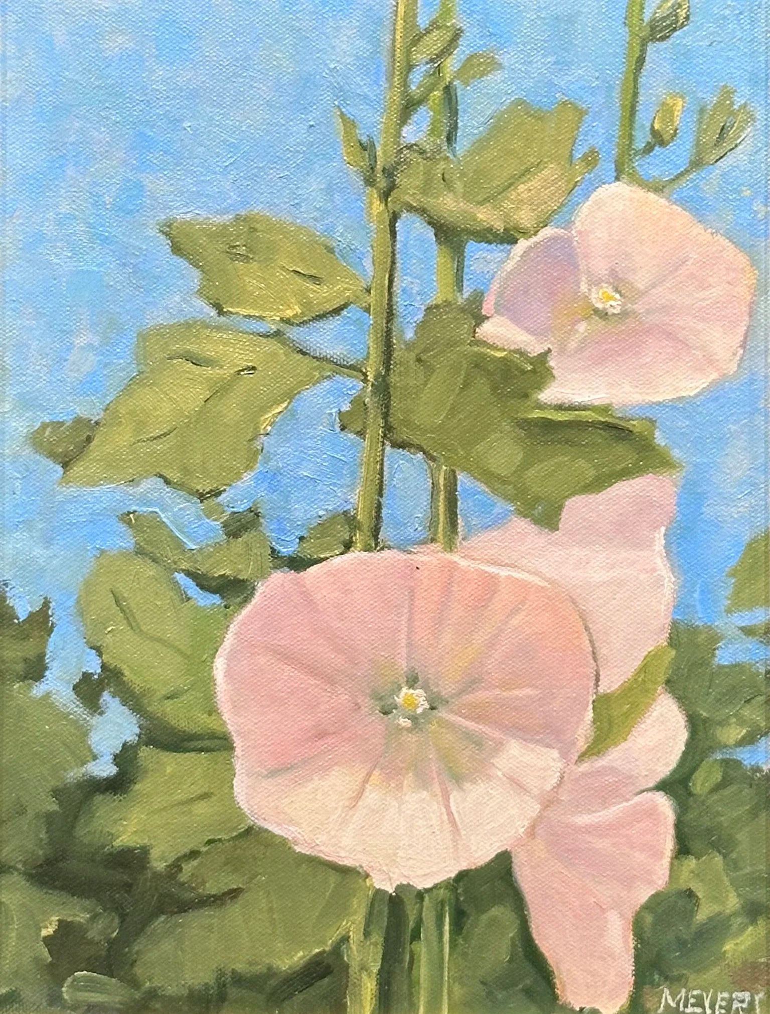 Hollyhocks