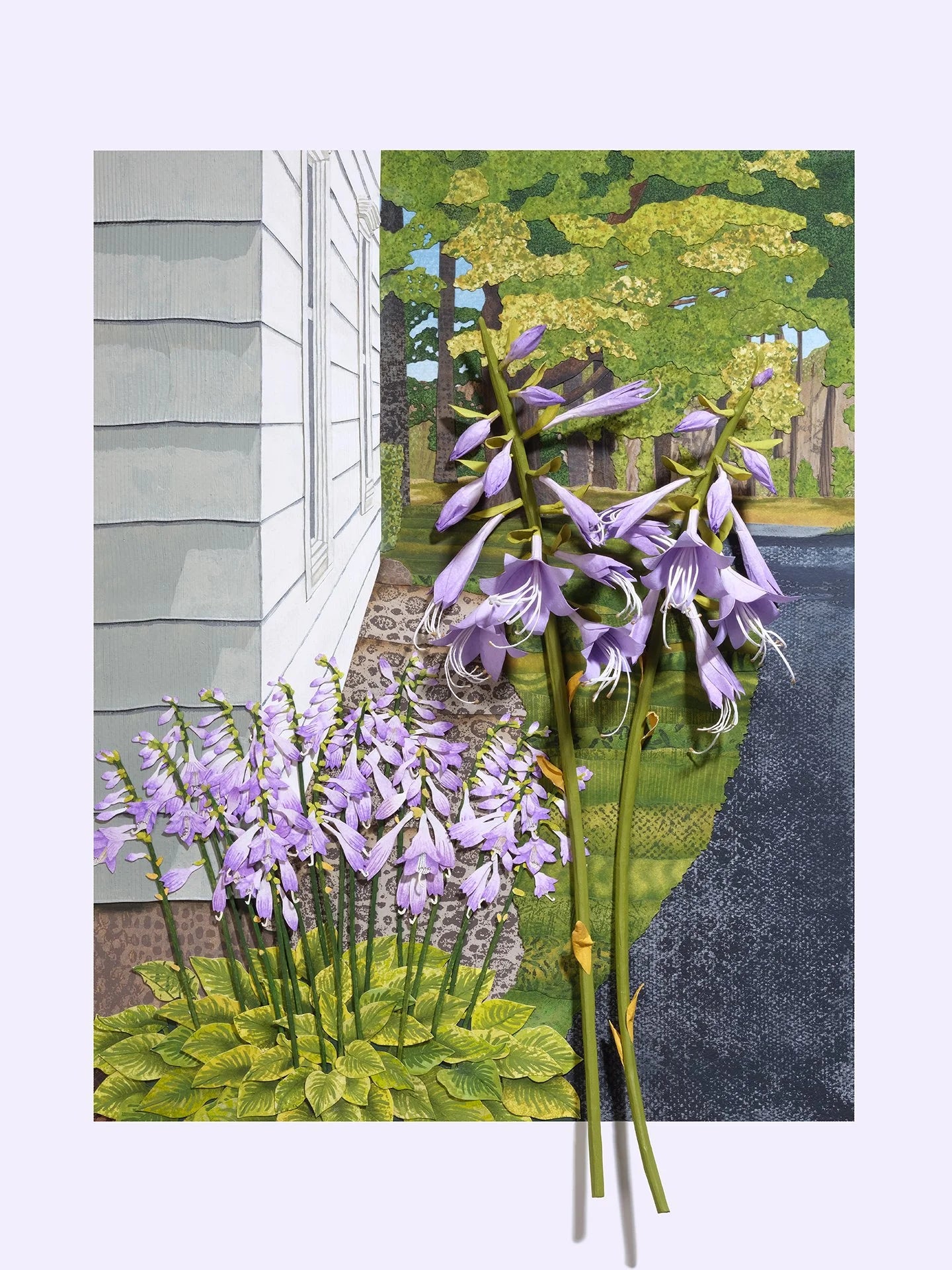 Hosta