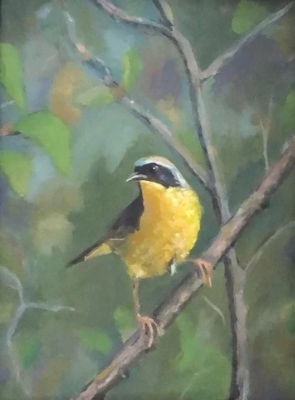 Yellow-Throated Warbler