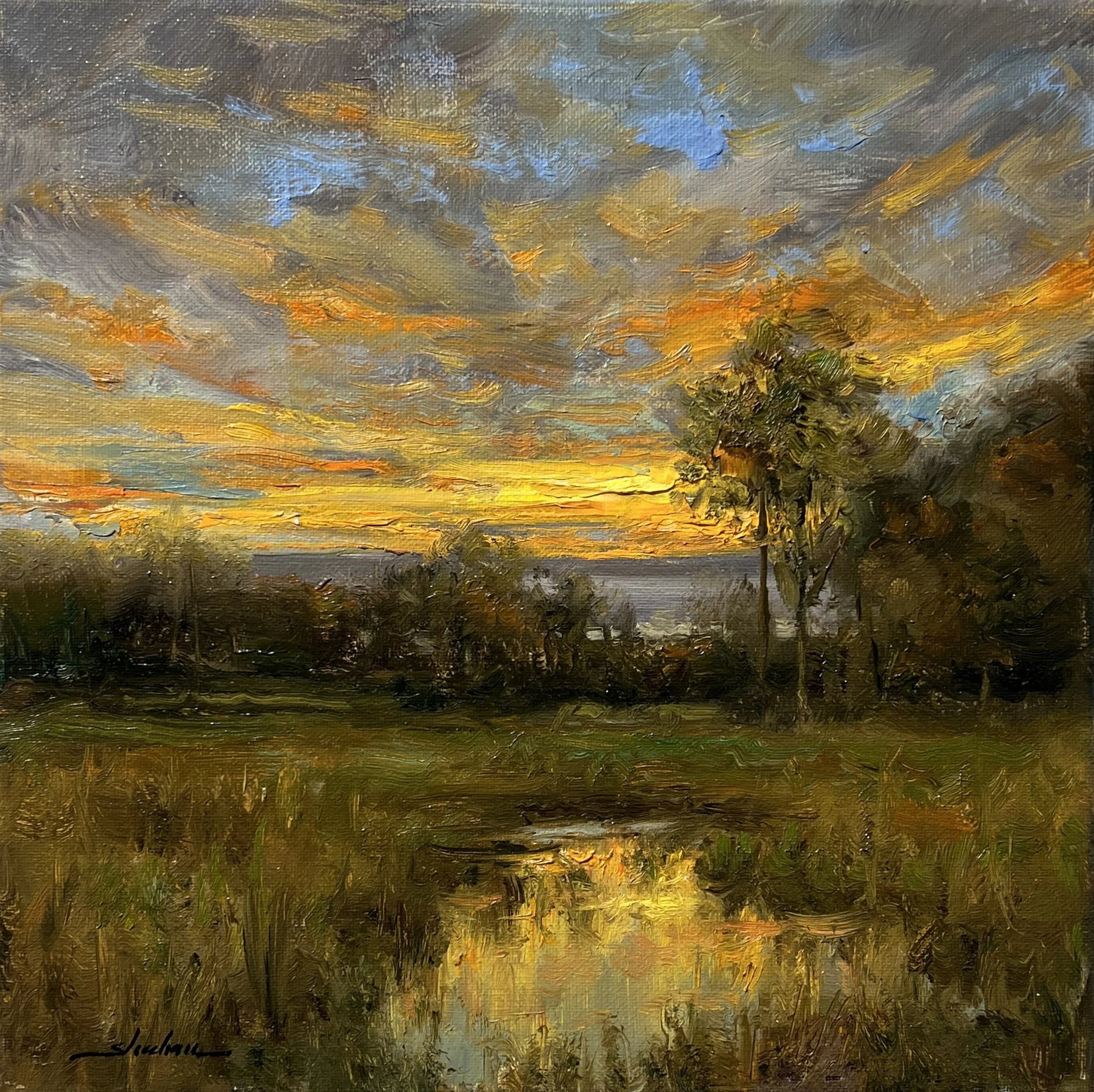 Sunset Spectacle