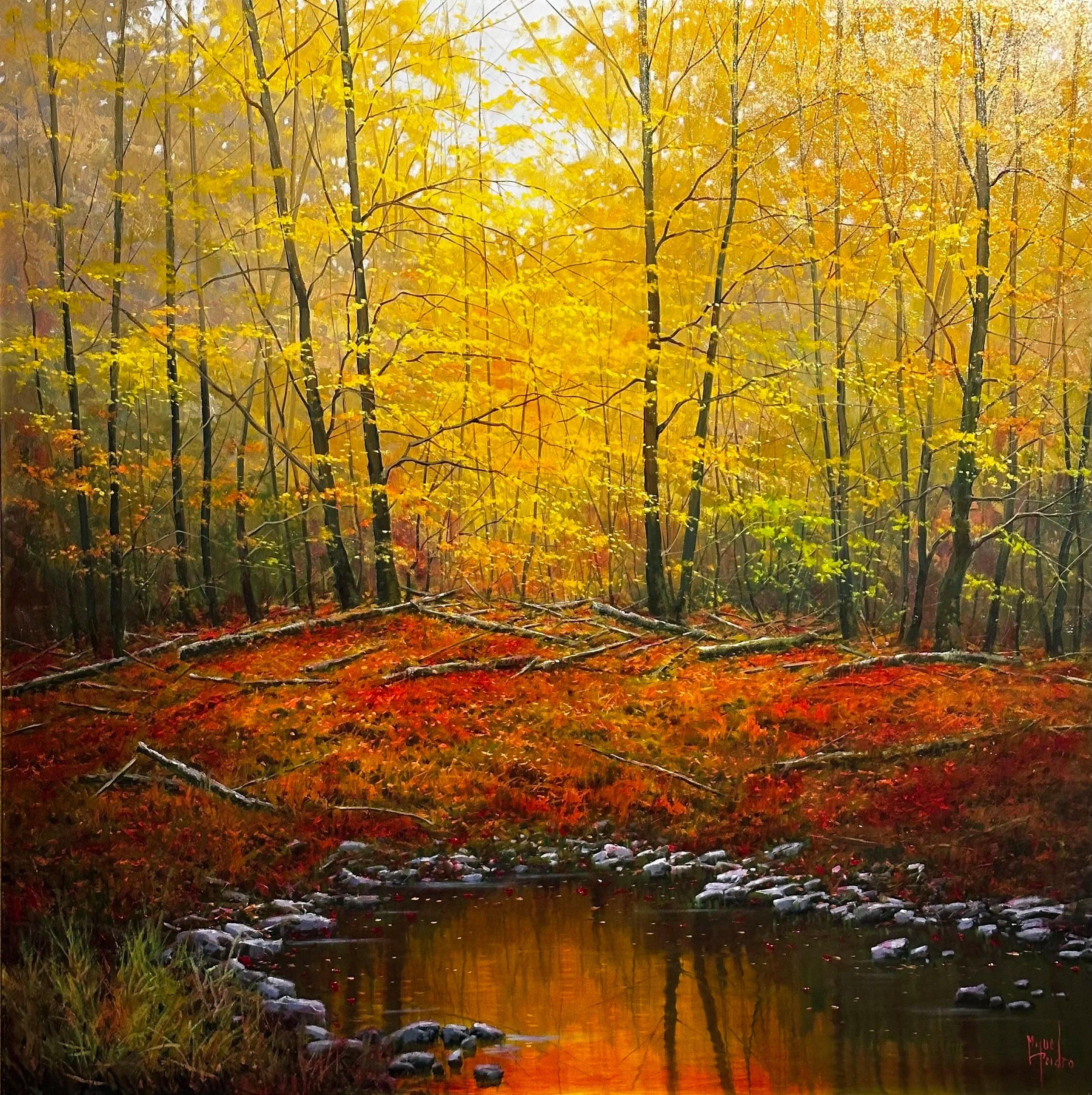 Autumn Reflections
