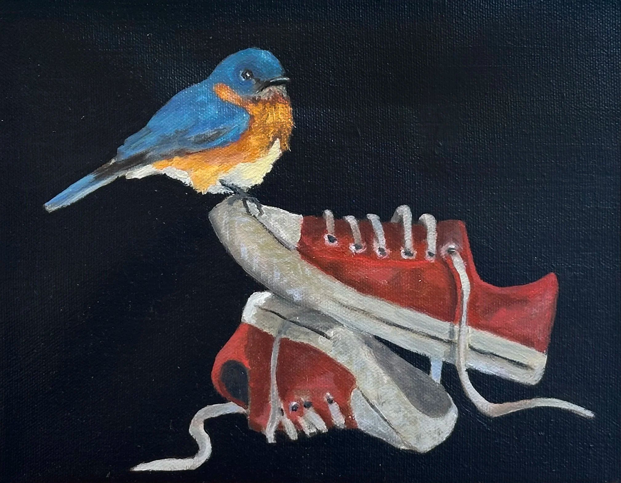 Bluebird on Sneakers