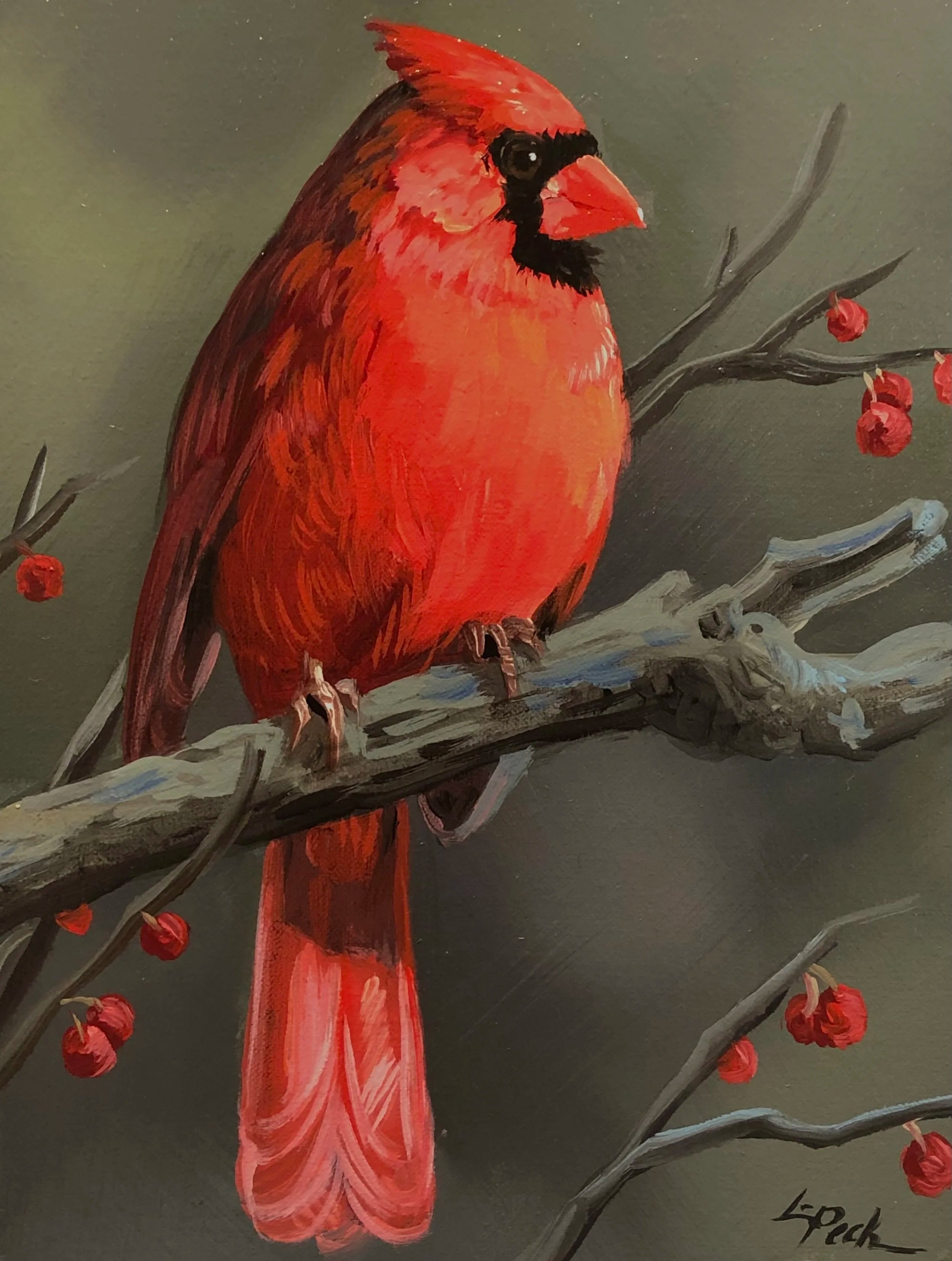 Male Cardinal