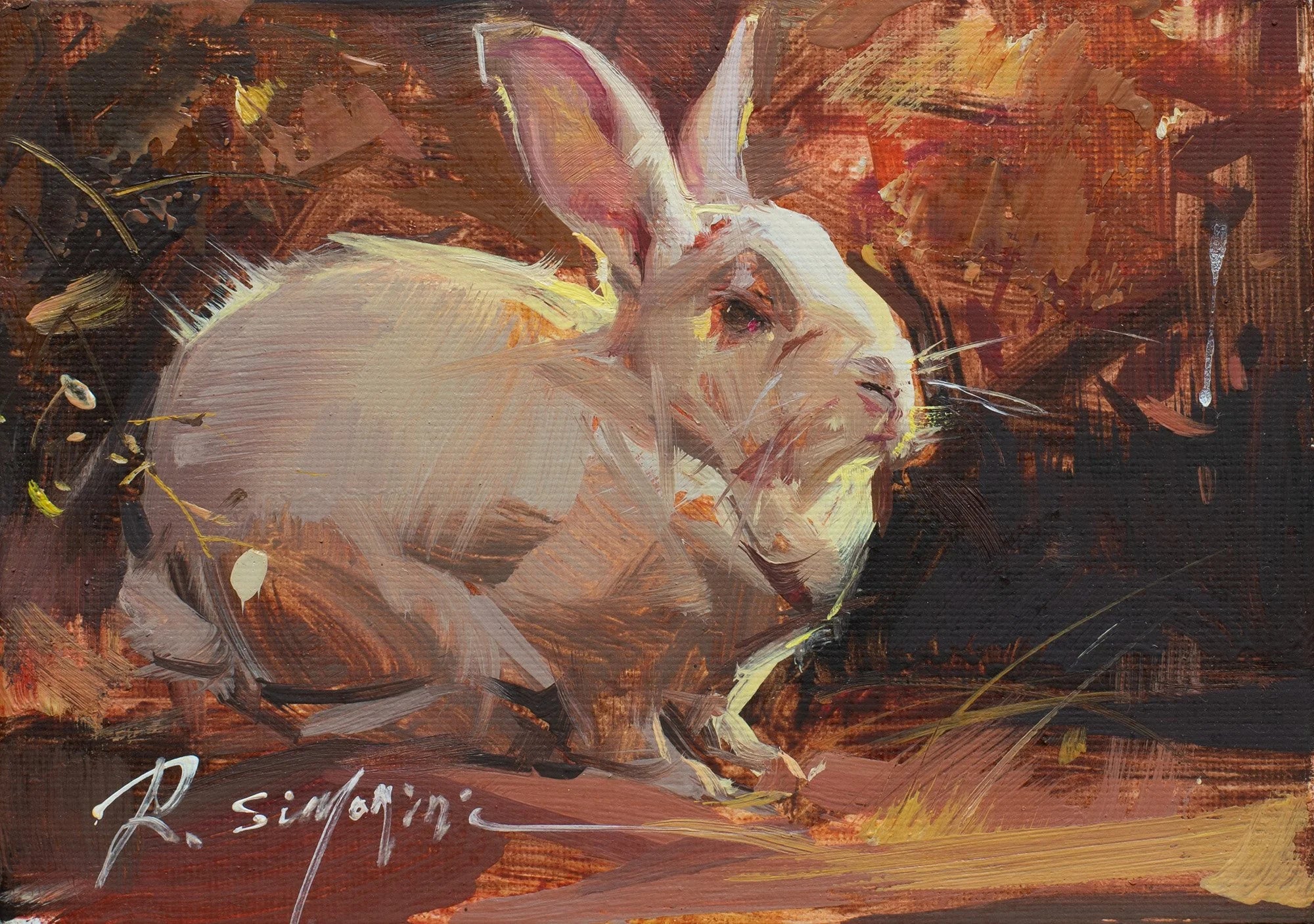 Judy