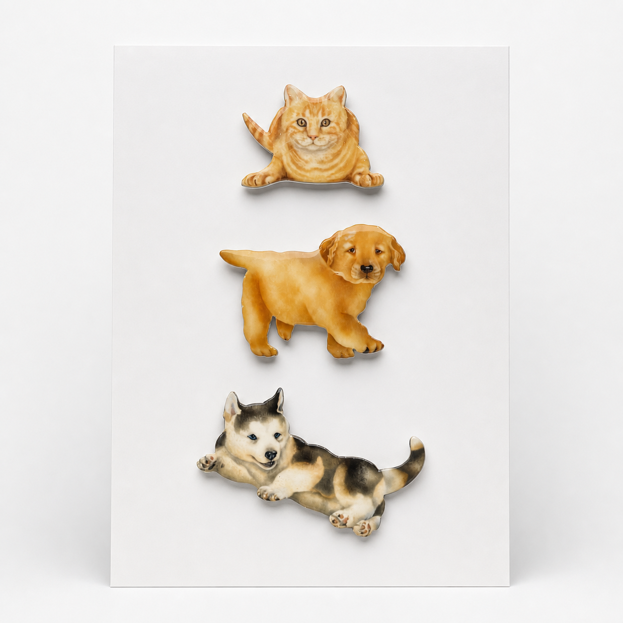 Paws & Whiskers Magnet Set