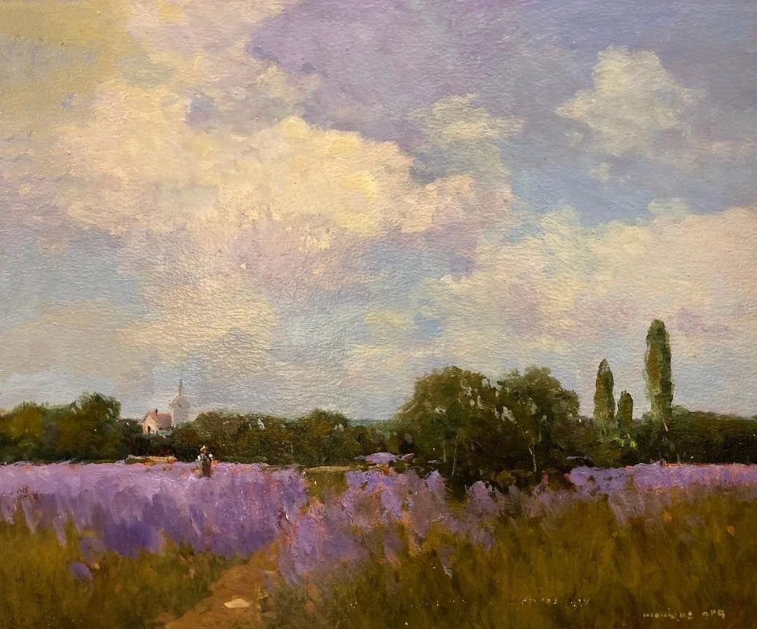 Lavender Fields