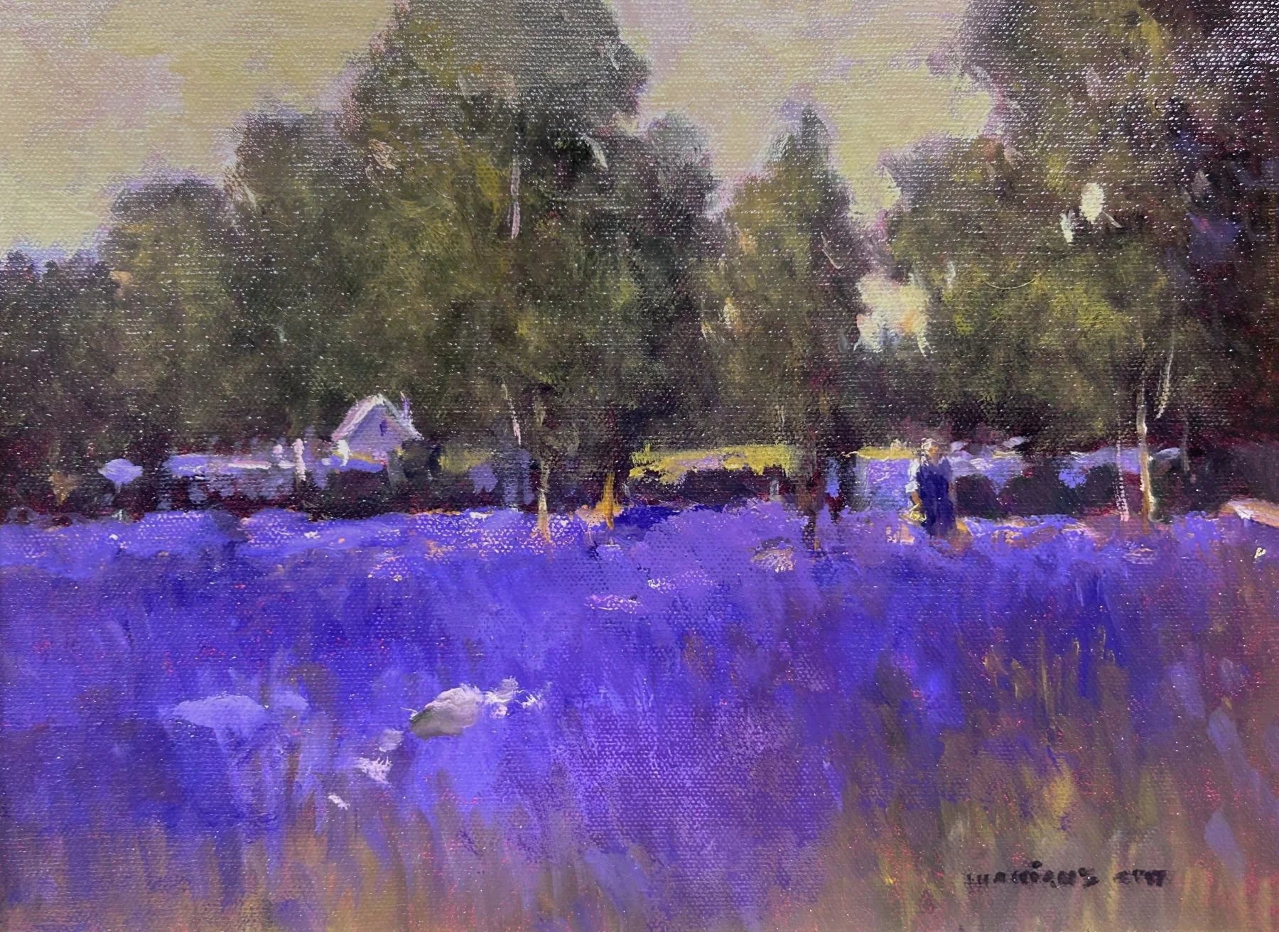 Lavender Time