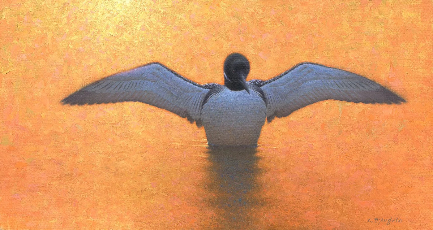 Loon Rise