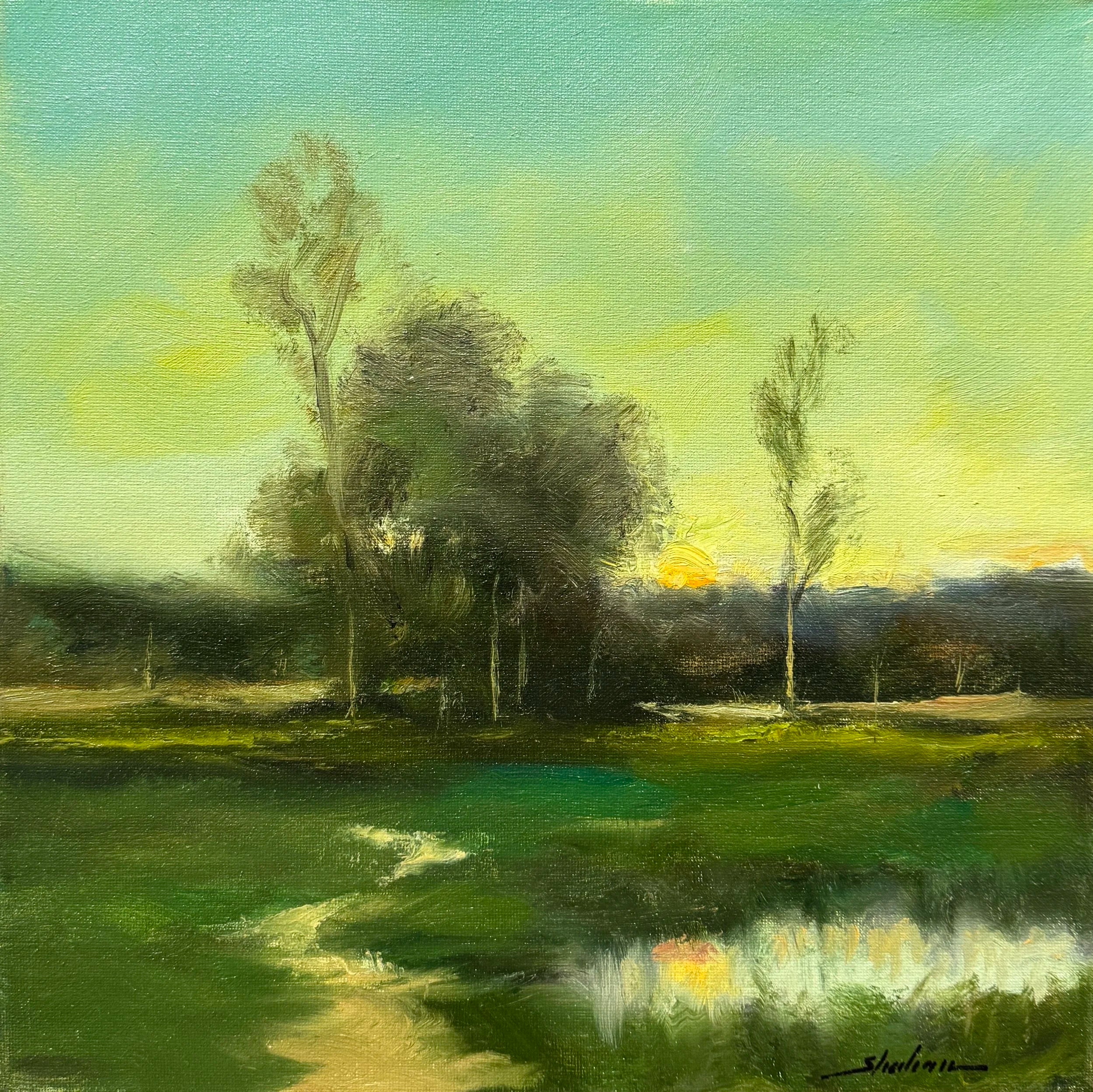 Marsh Memories