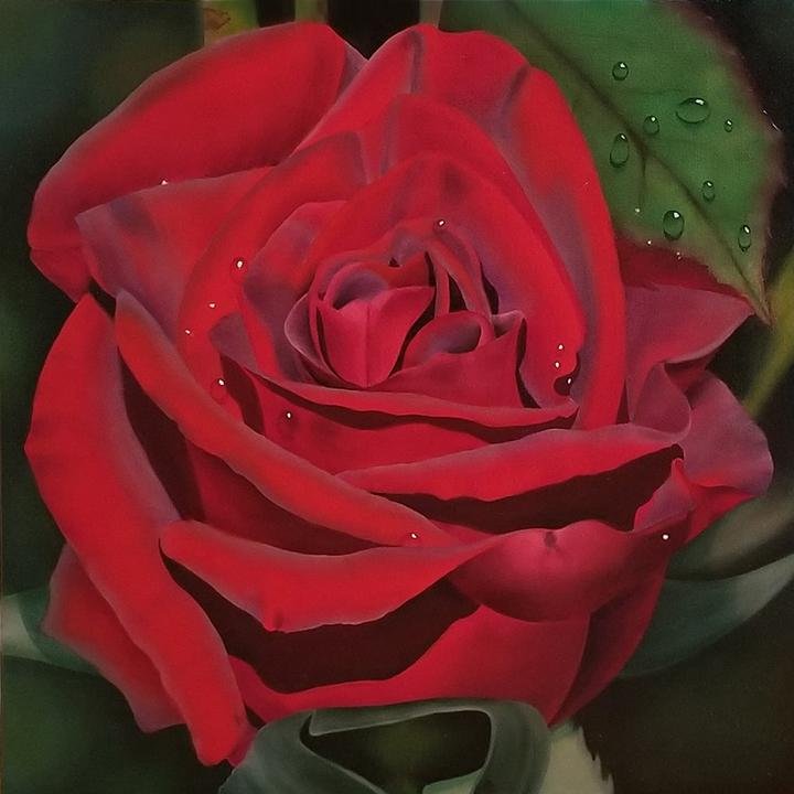 Morning Dew