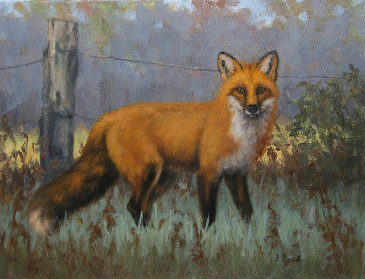 Morning Patrol