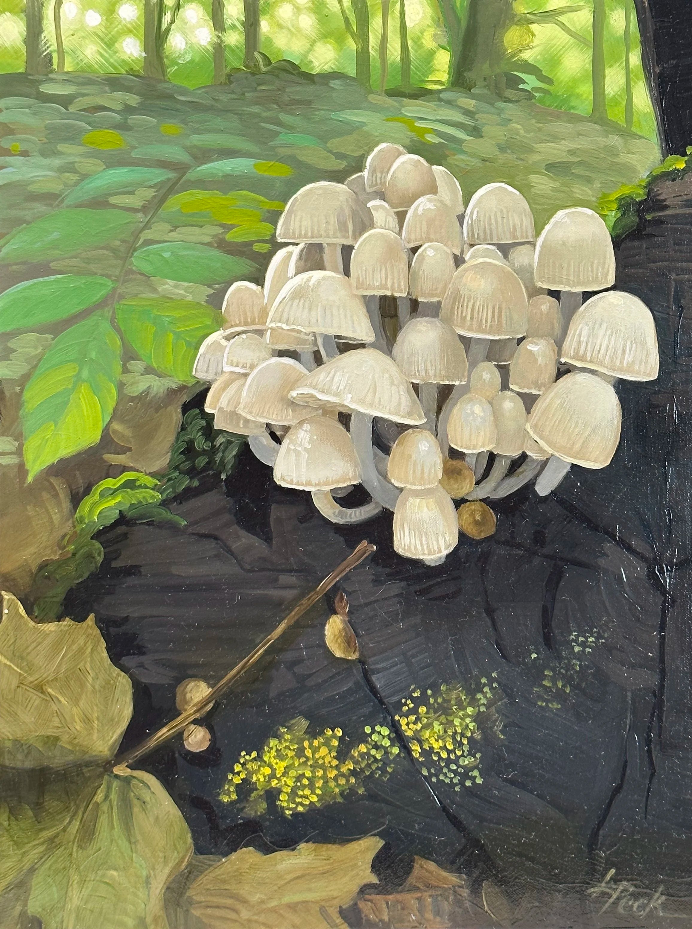 Mother Cluster