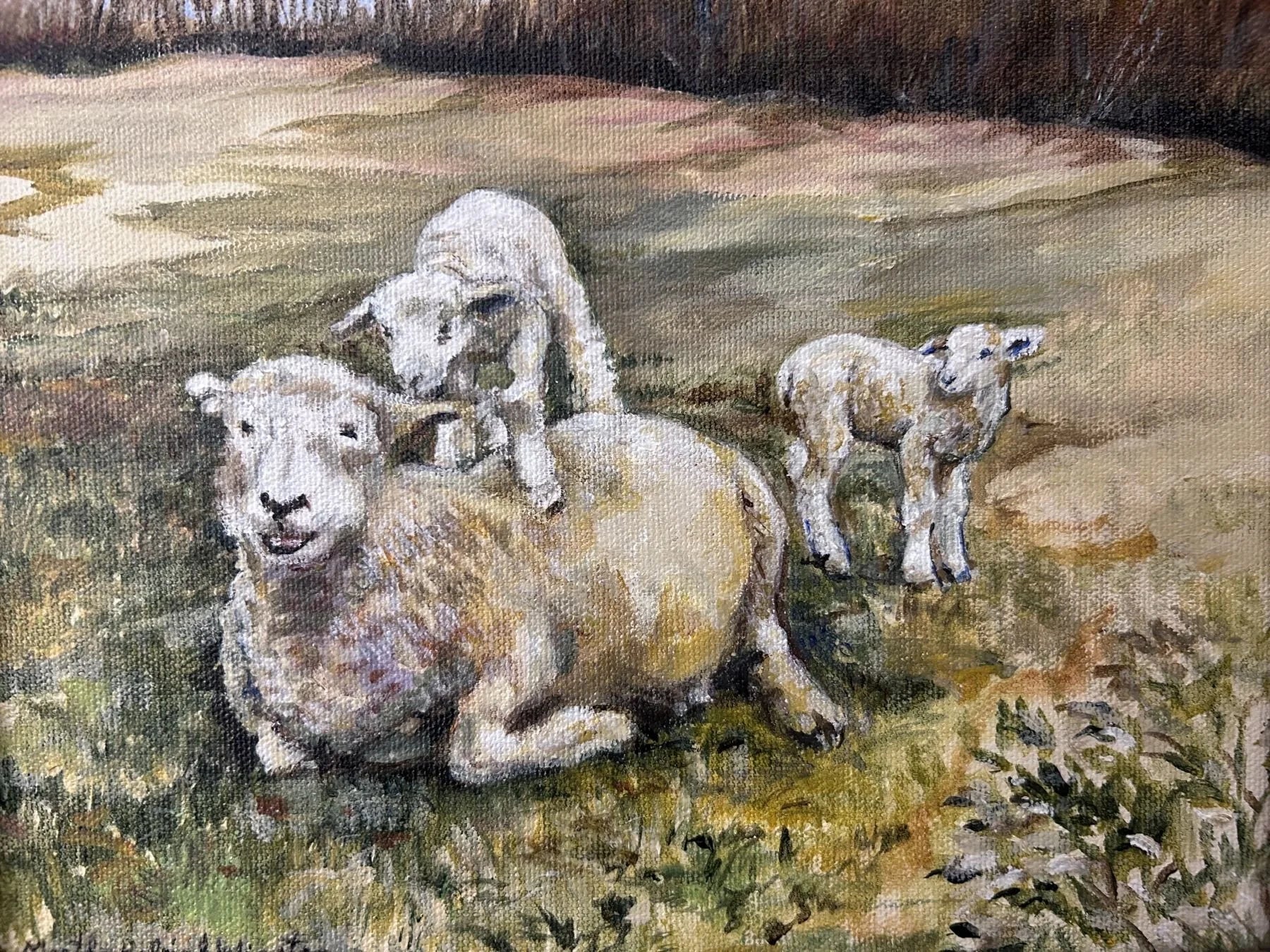 Mother Sheep