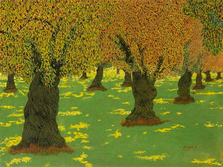 Olive Grove IV