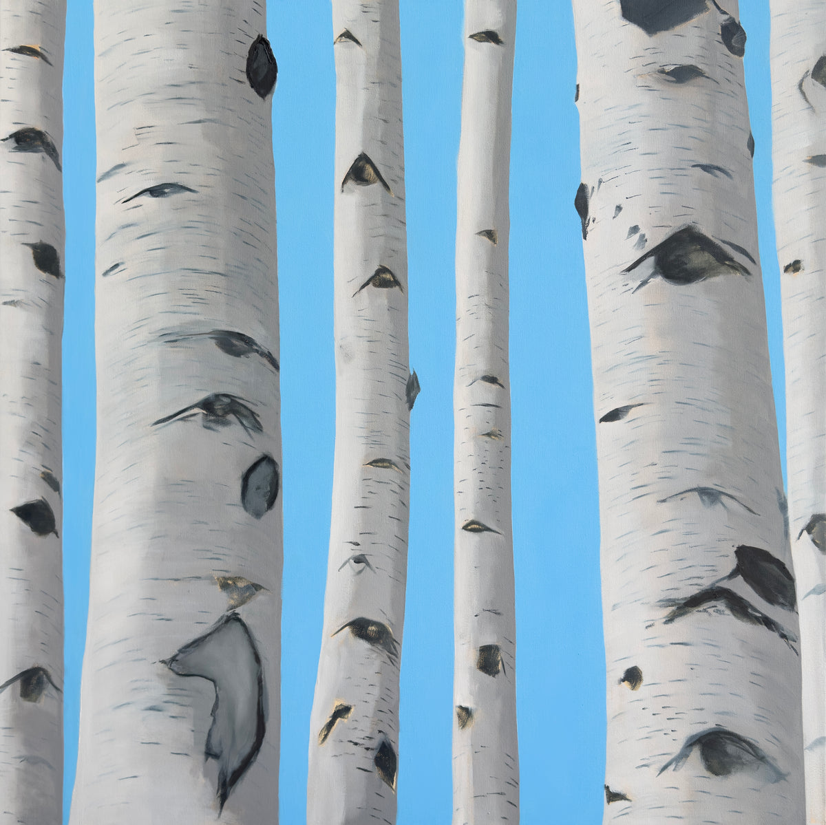 Patches of Blue Sky