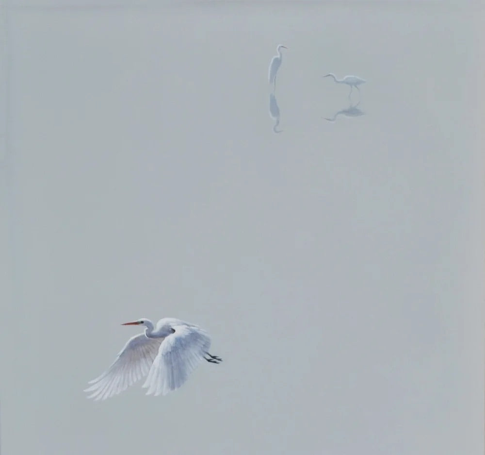 Peaceful Flight