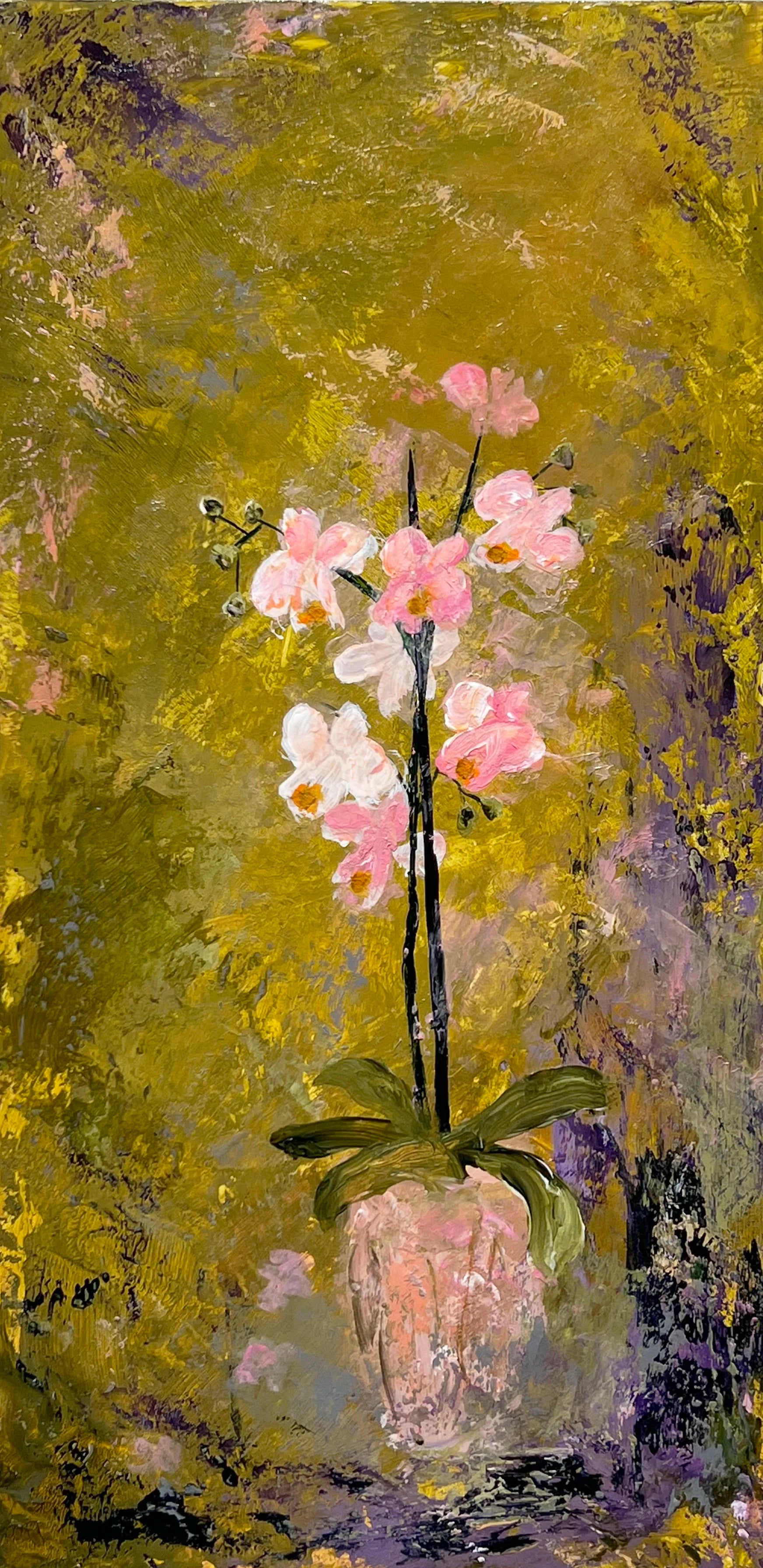 Pink Orchid