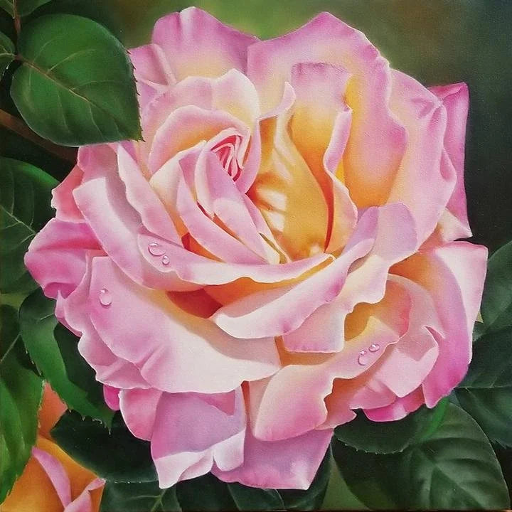 Pink Rose