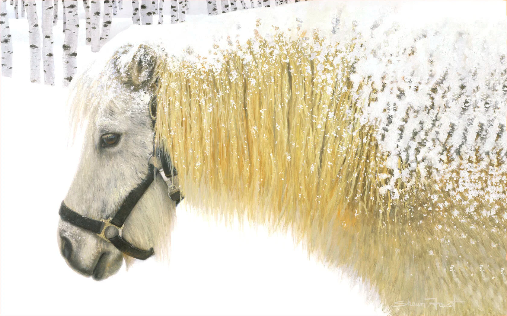 Pony and Birch
