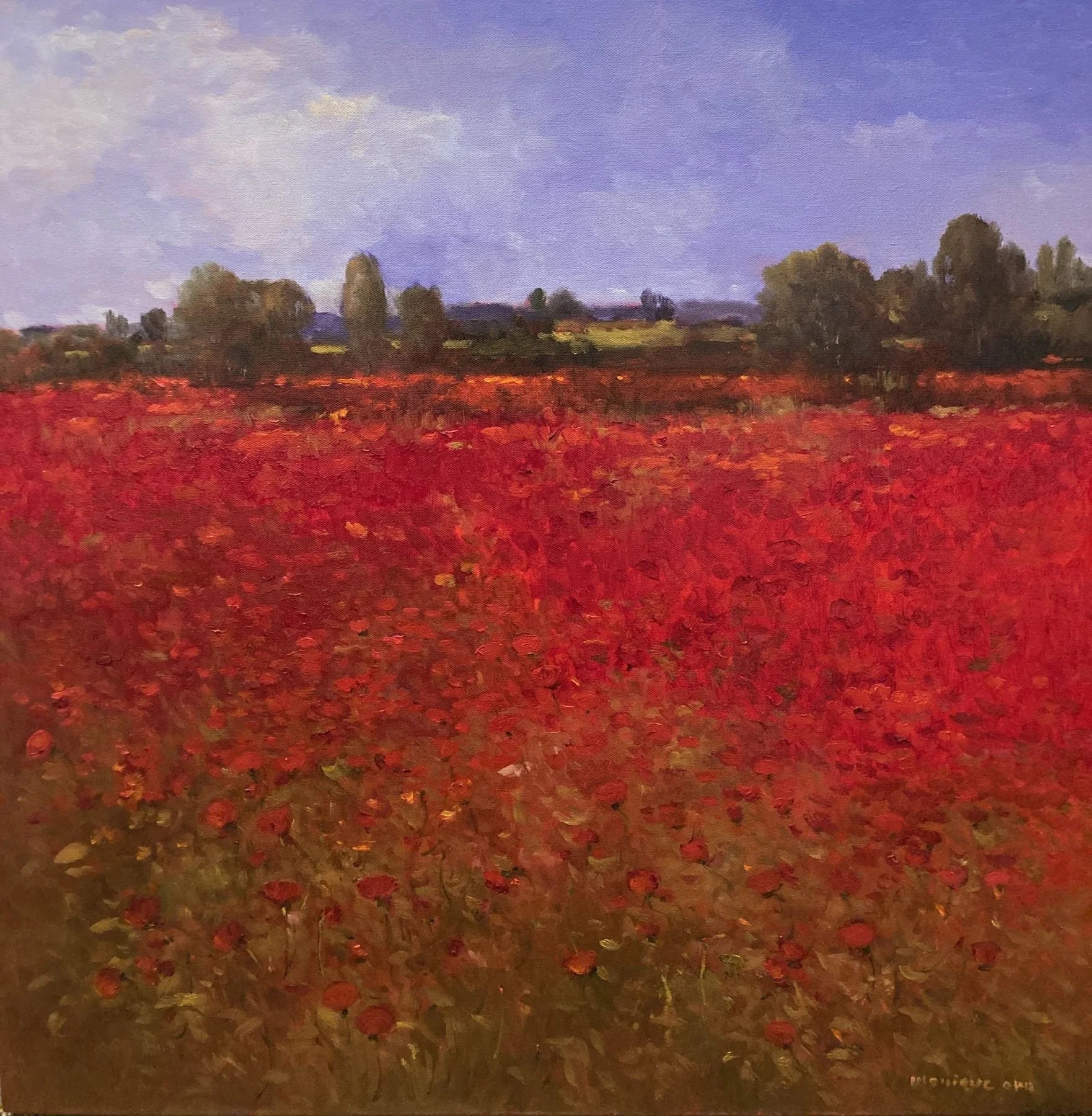 Poppies Forever