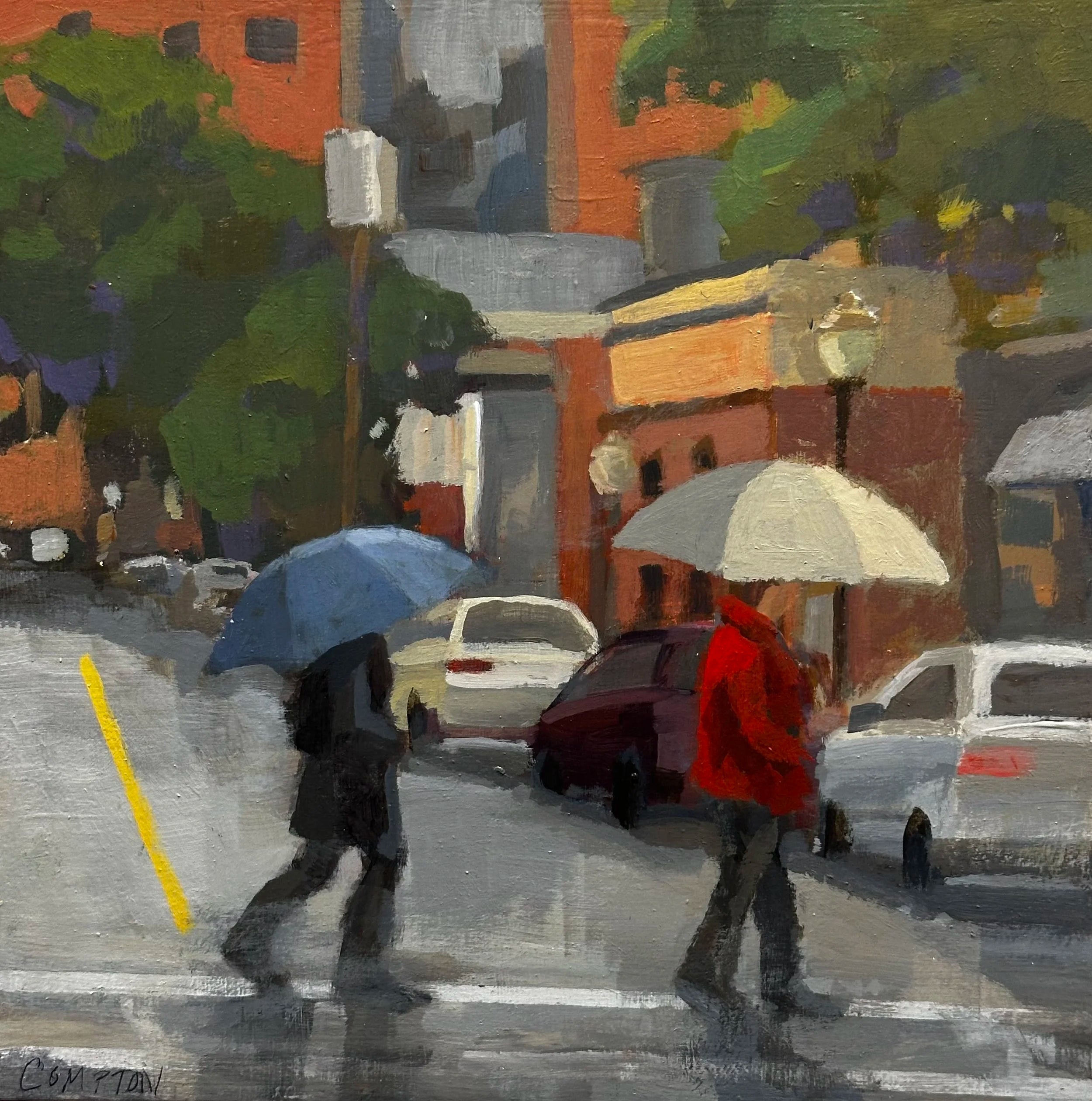 Rainy Saratoga