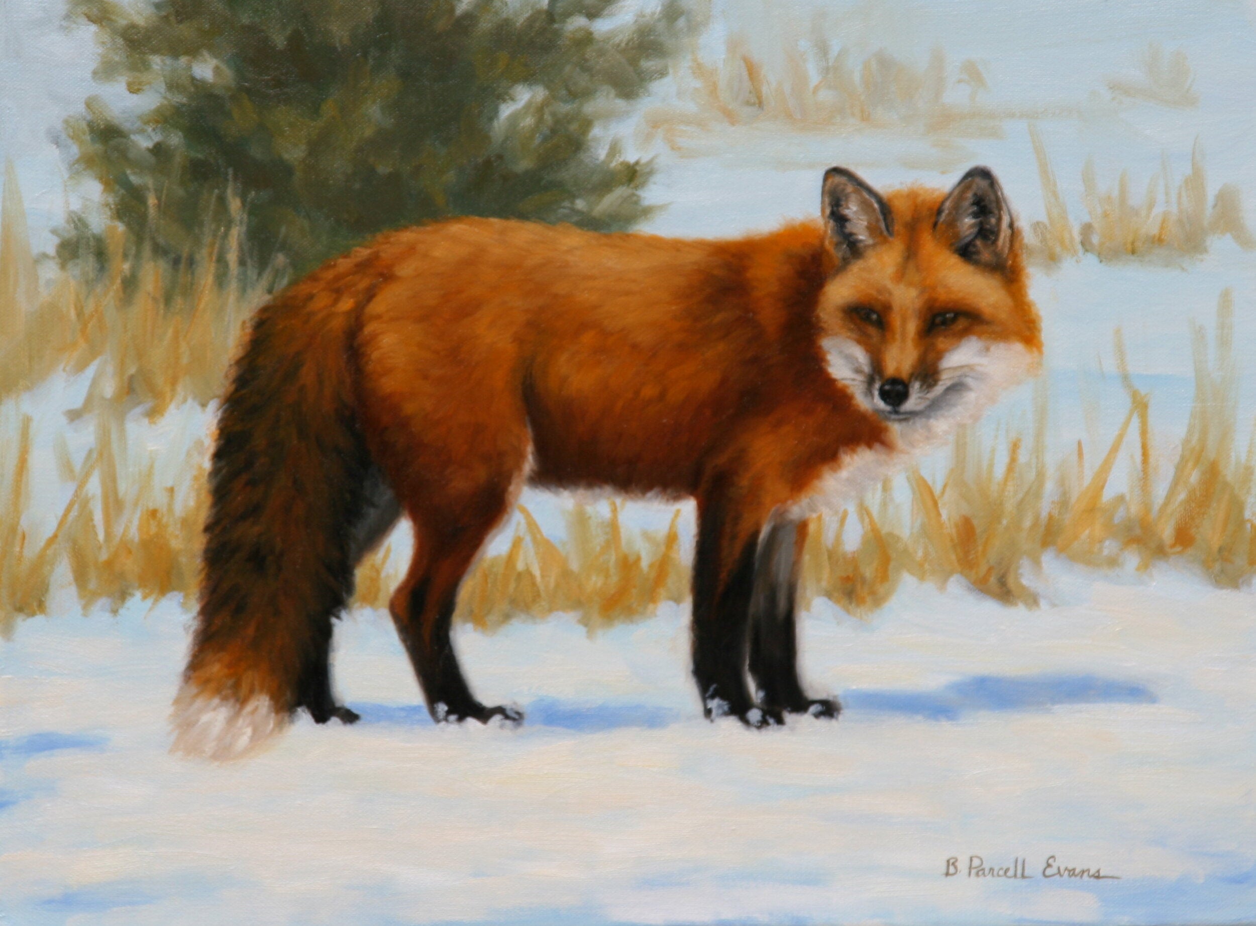 Red Winter Coat