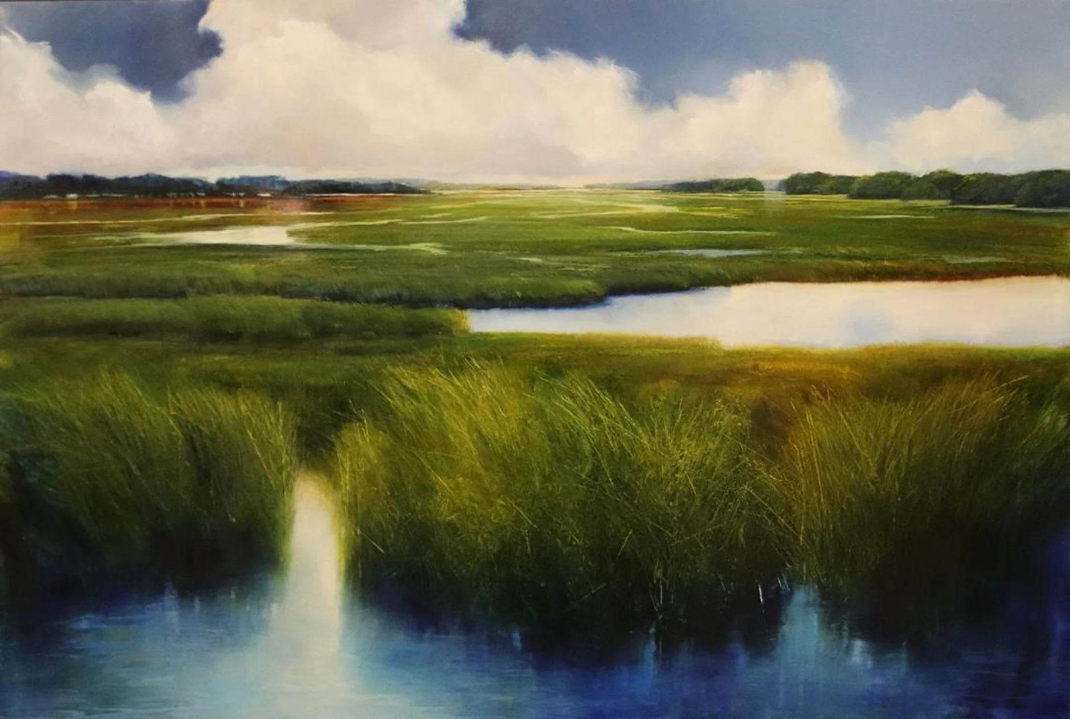 Marsh Grasses and Reflections