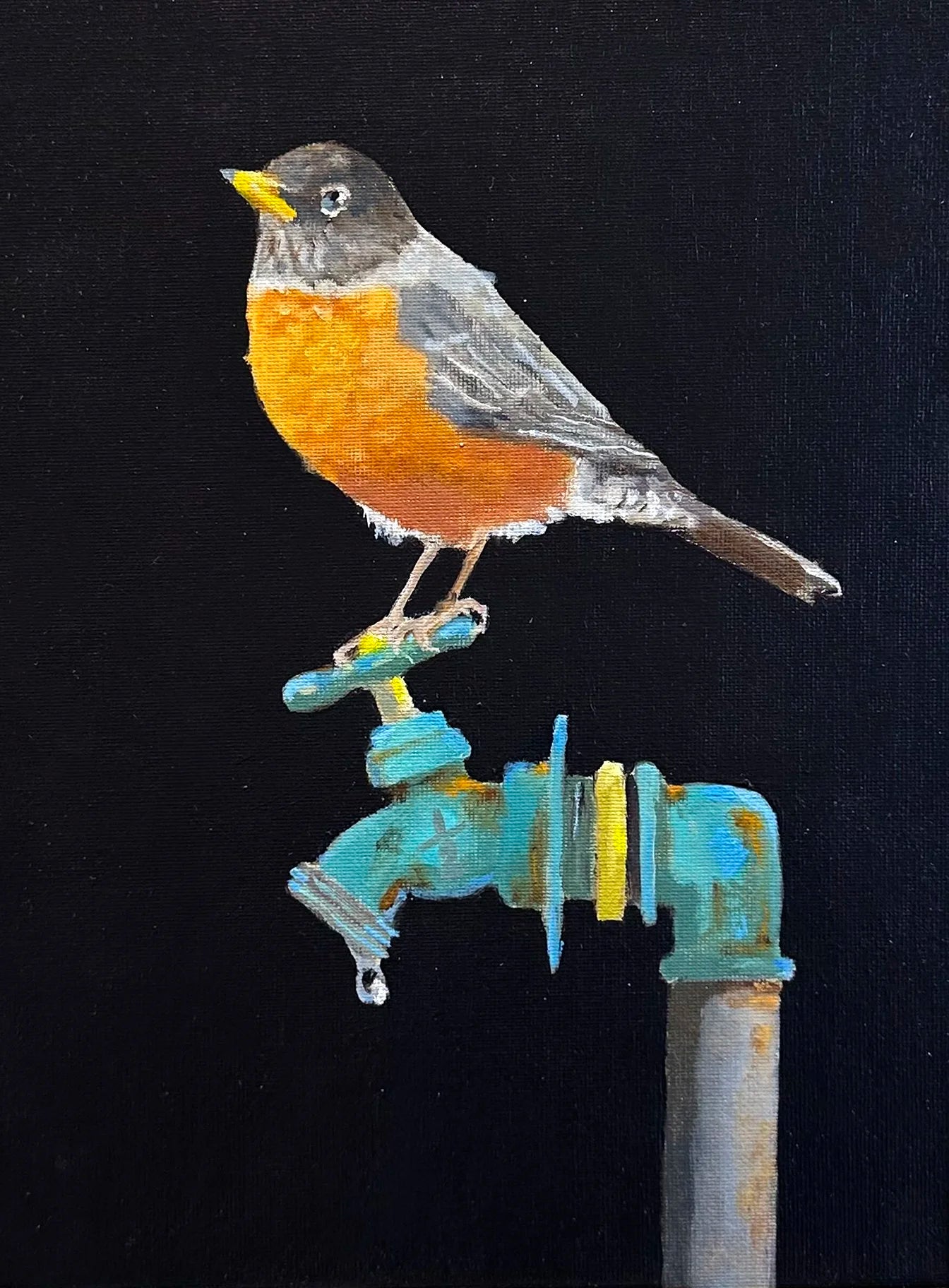 Robin on Spout