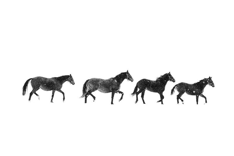 Parade