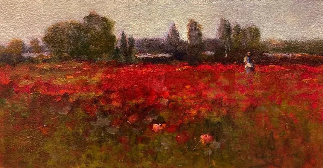 Provence Poppies