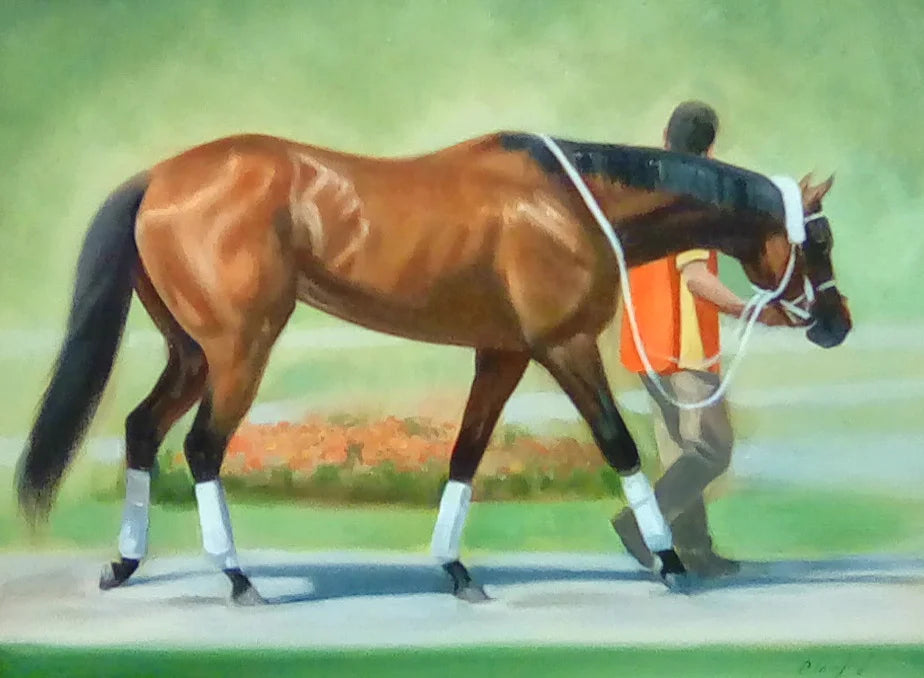 Saratoga Study