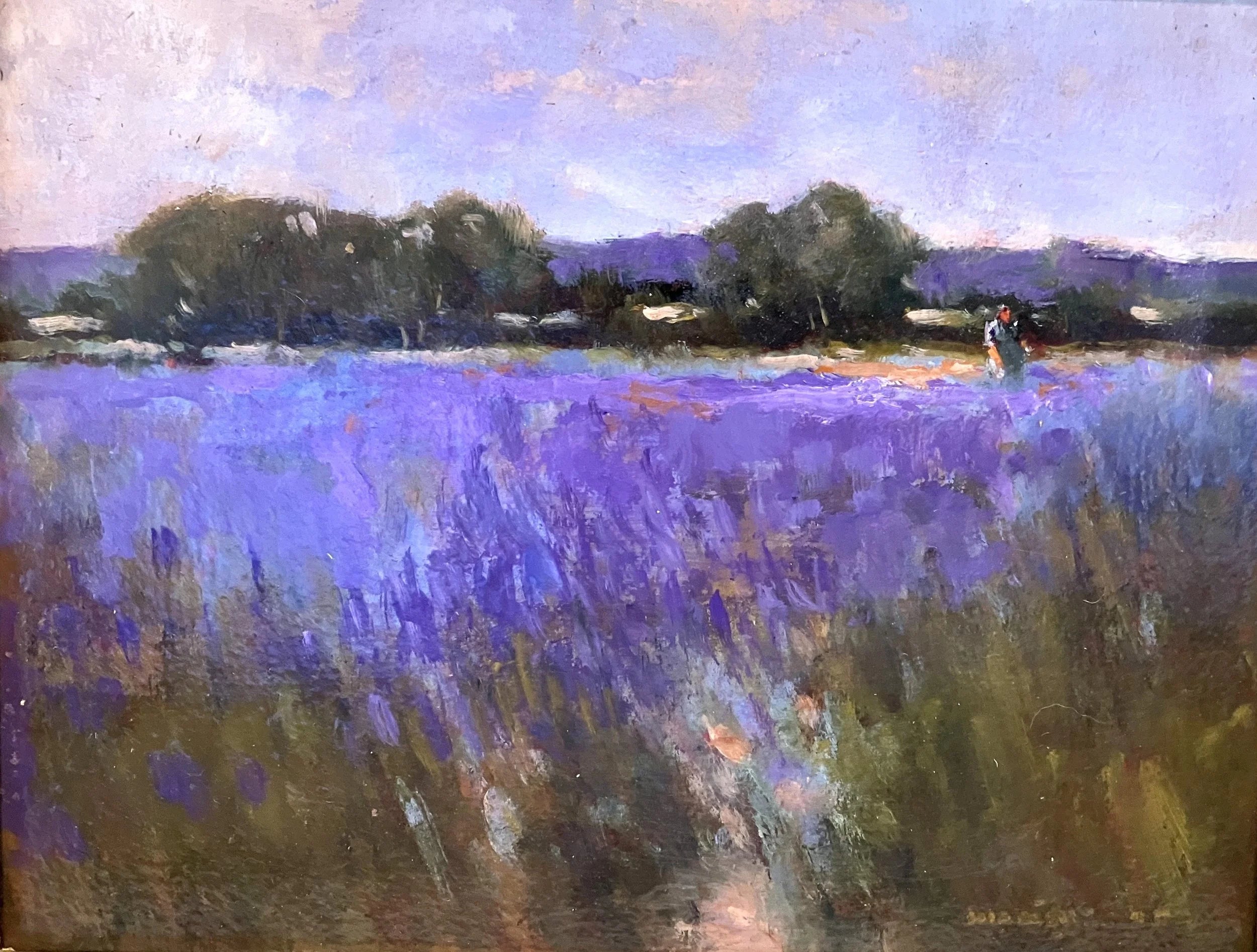 Shades of Lavender