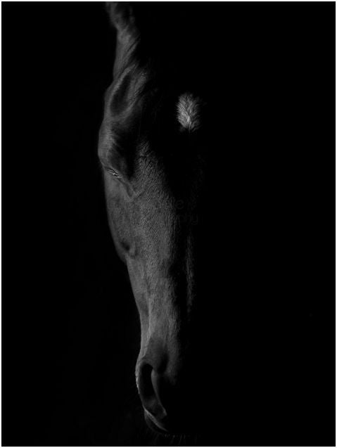 Schatten