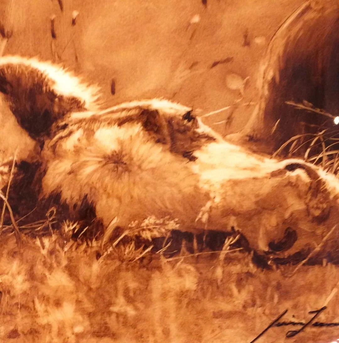 Sleeping Foal