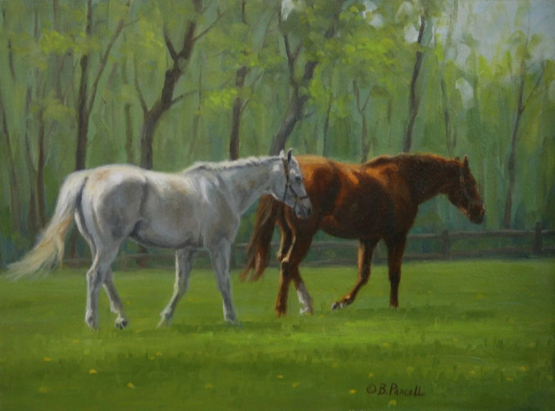 Spring