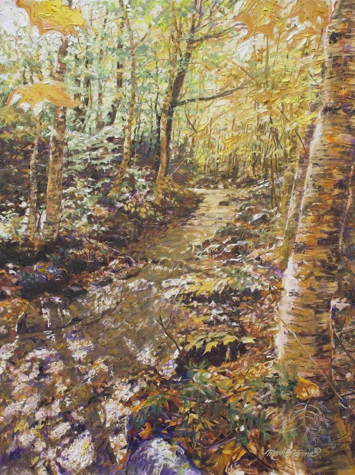 Sun Glazed Creek